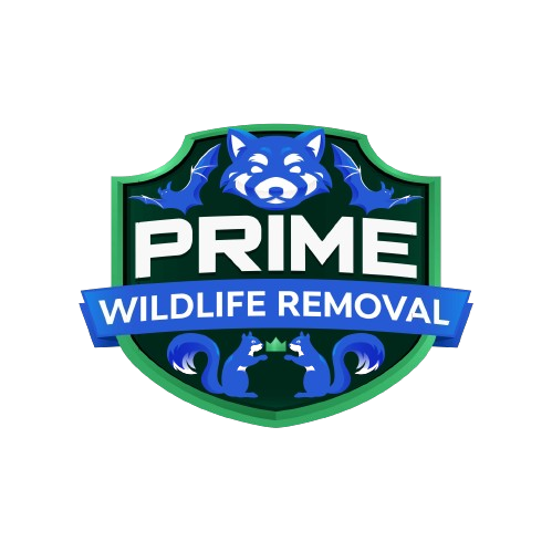 Wildlife Removal Jackson County